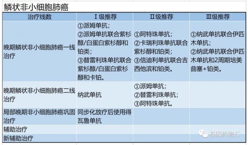 肺癌化疗方案ppt