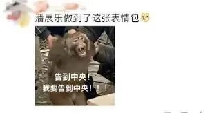 潘展乐又又又来告状了