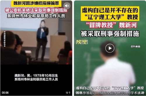 冒牌教授魏新河终落法网，揭秘学术造假背后的故事