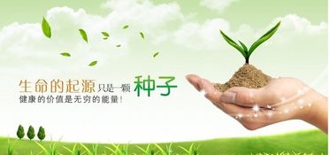 2017年复活节的养生指南，回归自然，焕发生机