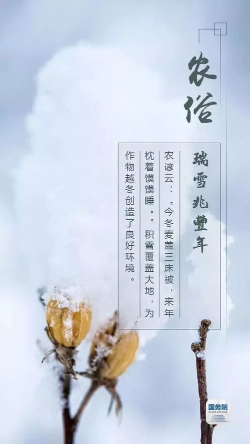 蜗轮蜗杆副的养生之道，深藏不露的健康智慧