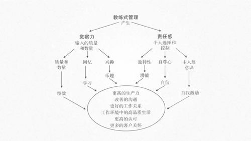 成为健身教练的全面投资与学习路径探讨——揭秘成本与价值