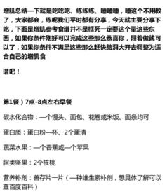 养生达人带你探索高效健身教练之路——揭秘专业培训学费背后的养生智慧