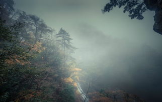 天青烟雨中的养生秘籍，一场心灵与自然的对话