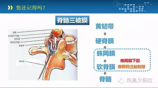 全方位解读，滑膜炎的疼痛秘密与养生之道