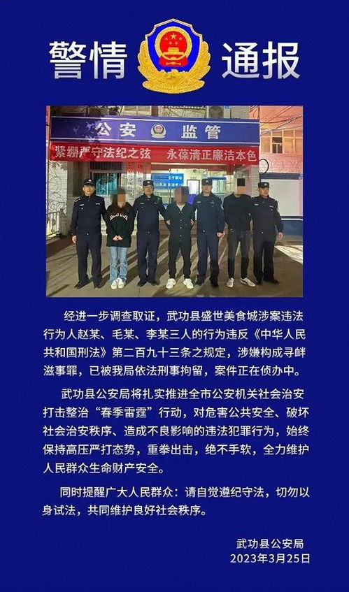 警方通报网红铁头被抓详情，挑战法律底线，终将付出代价