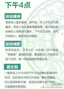 全方位养生指南，打造你的个性化健身计划表