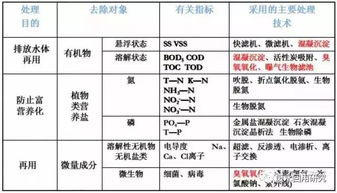 深度解析，1000毫升水的重量换算，养生达人的科学计算之道