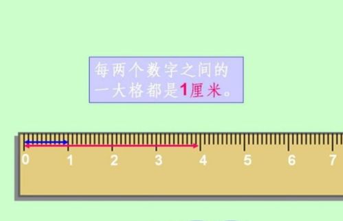 深度解析MM是厘米还是毫米，养生达人的细致解答