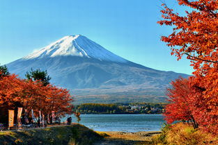 养生达人带你探寻富士山的健康之旅，自然与身心的完美融合