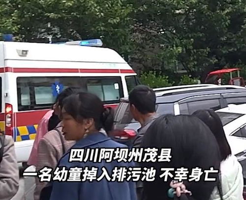 警方回应小偷行窃路人提醒遭威胁，守护公正，维护安全