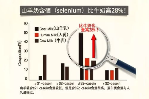 深度解析，龙骨养生大揭秘——解锁神奇保健力量