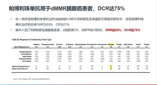 全方位探索，胰腺癌治疗策略与养生之道——从预防到康复的全程指南