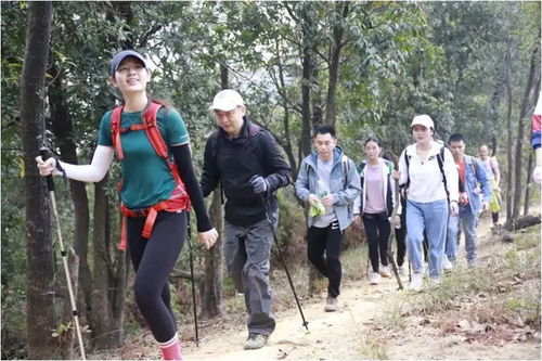 外国男子在华徒步之旅，跨越文化与距离的两年征程