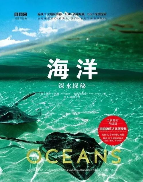 海洋之韵，静心养生——探索凭海听风瑜伽的身心之旅