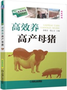 绿色养身，双胞胎猪的营养秘籍——探索高效环保猪饲料