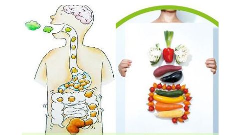 全方位解析，便秘的健康攻略——从饮食到生活方式，打造顺畅肠道