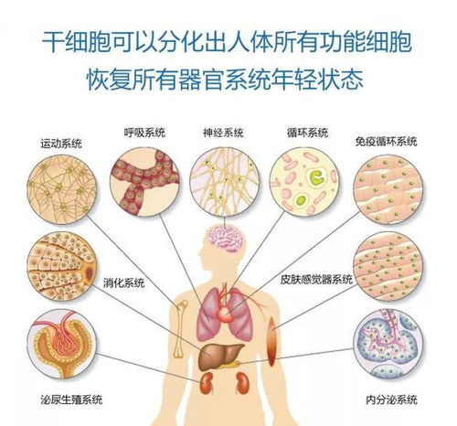 养生达人视角食道癌晚期，症状识别与健康守护指南