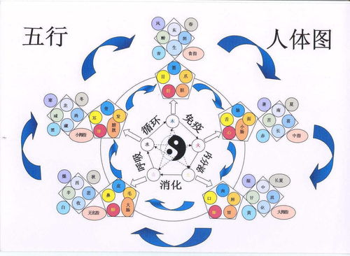 全方位探索，结肠癌的预警信号与高效治疗策略——养生达人的深度解析