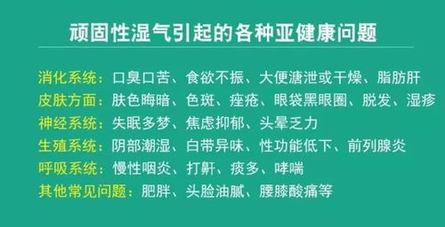 深度解析，熟地的养生奇效与神奇作用，解锁健康密码