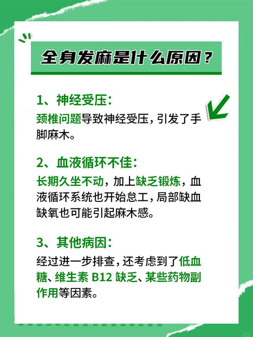 全面解读，白细胞减少背后的养生之道——从原因到对策的全方位指南