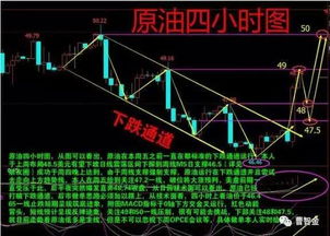 深度解析，远志的养生奥秘——功效与作用全方位剖析