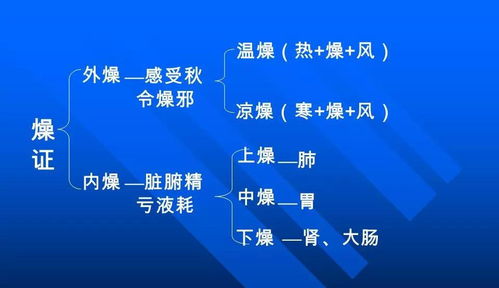 养生达人指南广州癫痫诊疗全攻略，专业医院与综合疗法深度解析