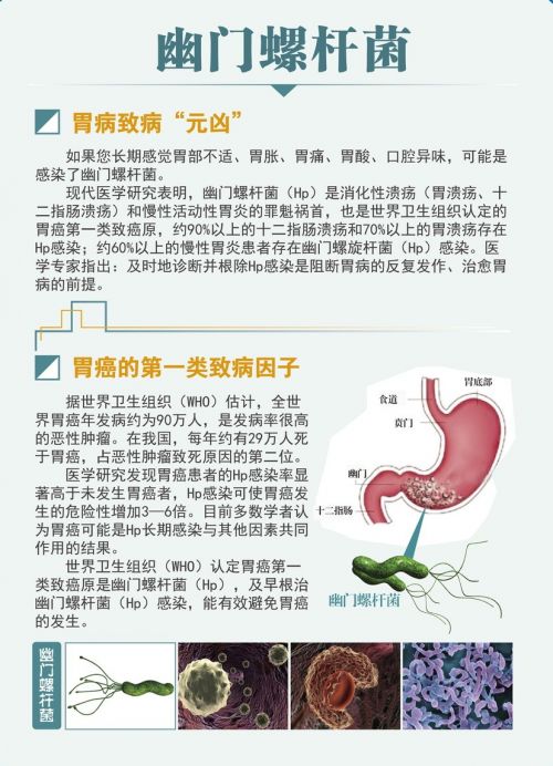 胃疼调理与药物选择，专业养生达人的贴心指南