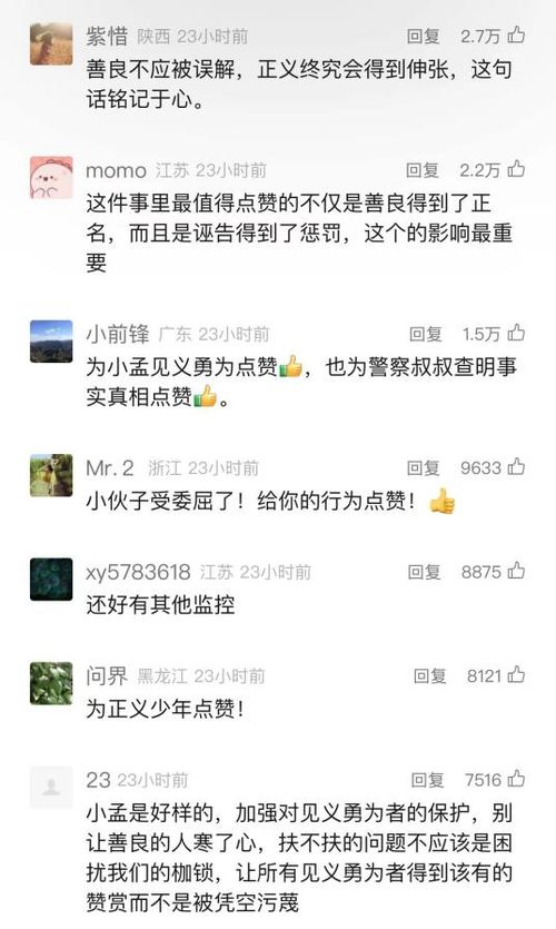 老人诬陷并殴打搀扶者后被拘，反思社会道德与法律底线