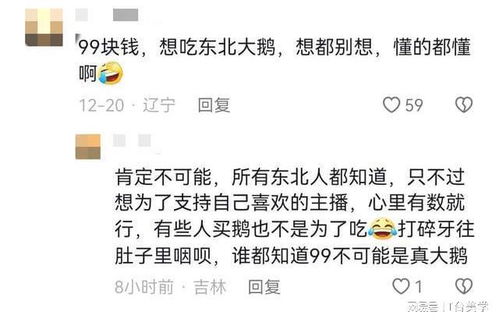 博主称上门打假东北雨姐被殴打，事件反思与舆论探讨