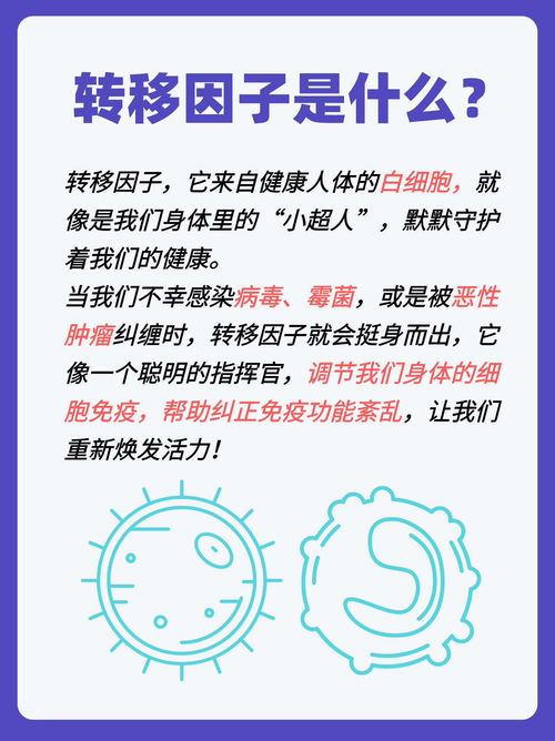 深度解析，枳壳的养生奥秘——神奇功效与科学应用