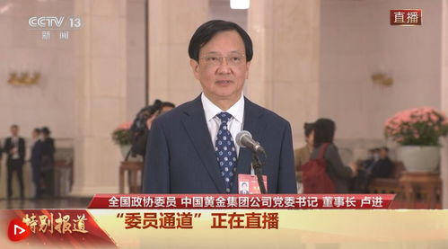 中国黄金集团原董事长卢进被查，权力与监督下的警醒