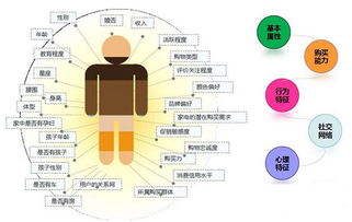 深度解析，高丽参养生背后，那些不可忽视的副作用与应对策略