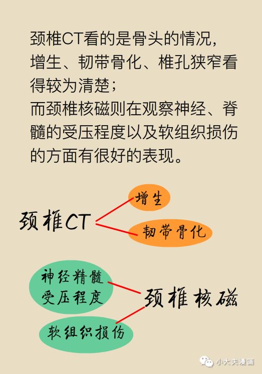 全方位探索，多囊肾治疗的养生之道——从生活方式到医疗策略