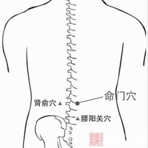 深度解析肾俞穴，养生宝库，调养肾脏的神奇穴位