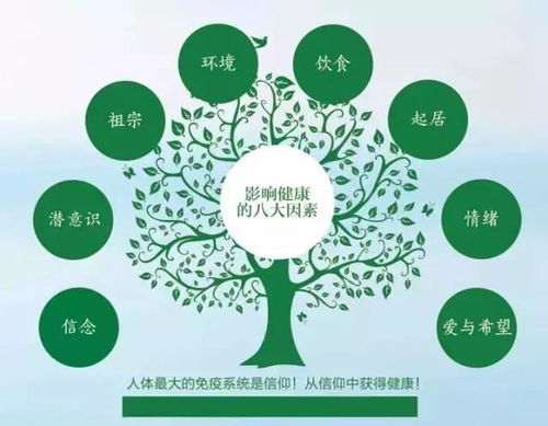 深度解析，地龙养生大揭秘——神奇功效与科学应用