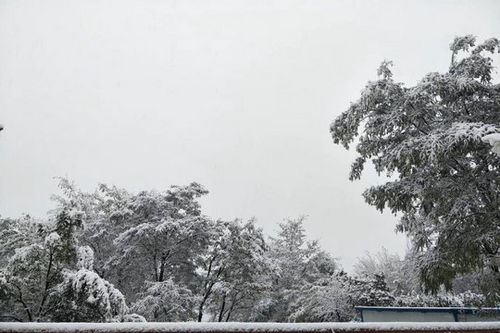 北京门头沟迎来入秋后第一场雪