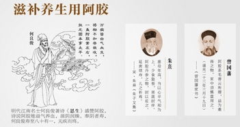 阿胶养生真相大揭秘，科学解析其副作用与健康使用指南