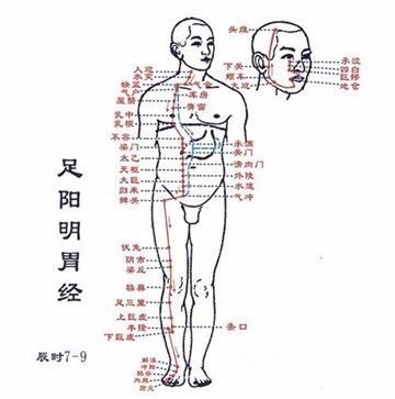 气血不足的全方位解读与养生指南