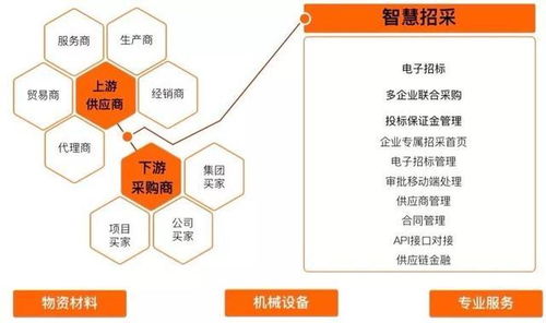 深度解析，半夏的养生智慧——功效与全面作用解析