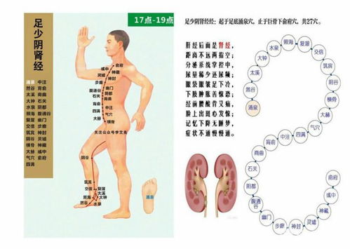 探索经络之韵，中医养生的神秘密码——解读经络图的智慧与实践