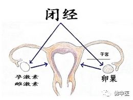 探索自然疗法，揭示尖锐湿疣的绿色疗愈之道