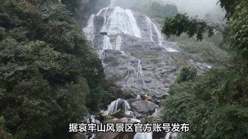 专家解读为何哀牢山是禁区