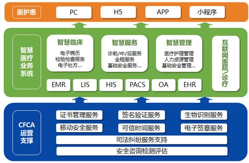 深度探索，呼吸系统的全面养生指南——从图解到实践的全方位解析