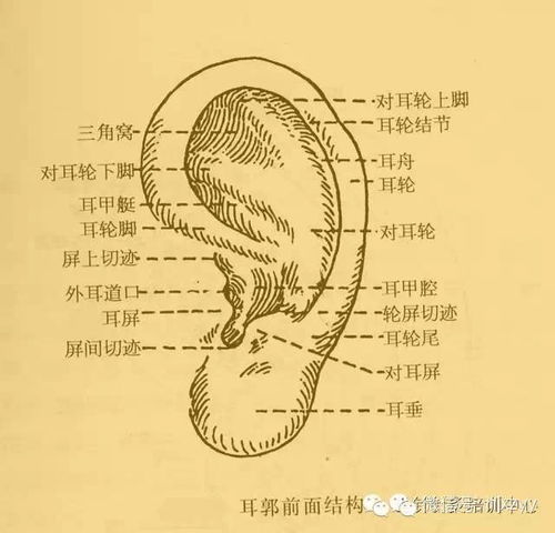 深度解析盆腔炎，病因、疗法与养生全攻略