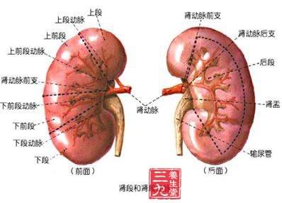 深度解析盆腔炎，病因、疗法与养生全攻略