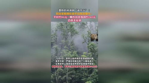 民宿老板回应哀牢山爆火事件，哀而不伤，坚守初心