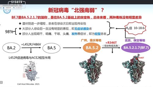 全方位解读，支气管炎的养生之道与症状管理