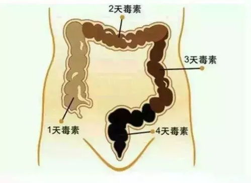 探寻京城牛皮癣康复之道，走进专业医院的养生指南