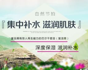 深度解析，穿心莲片的养生奥秘——功效与作用全方位剖析